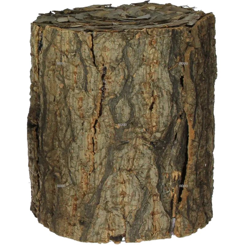 Bark Wood Branch Tree Garden, wood, furniture, interior Design Services, cork png